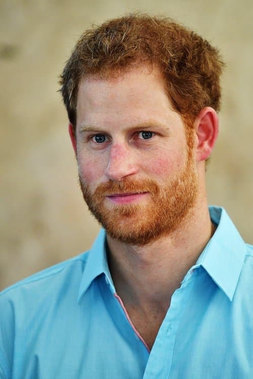 Prince Harry, Duke of Sussex foto