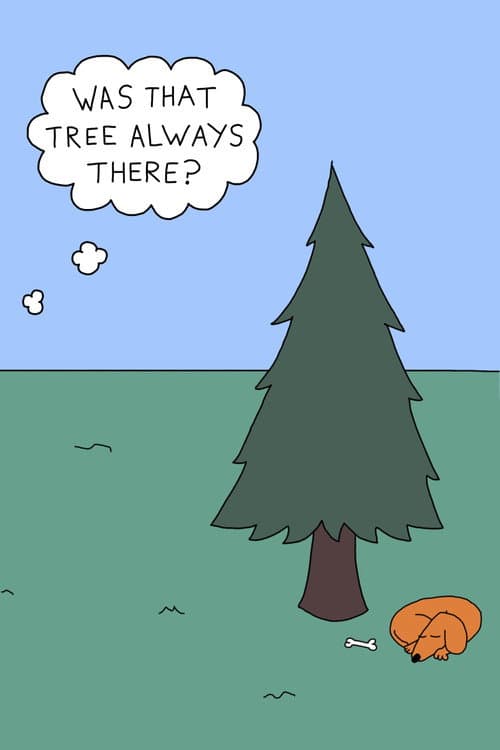 Was That Tree Always There? (2025) poster