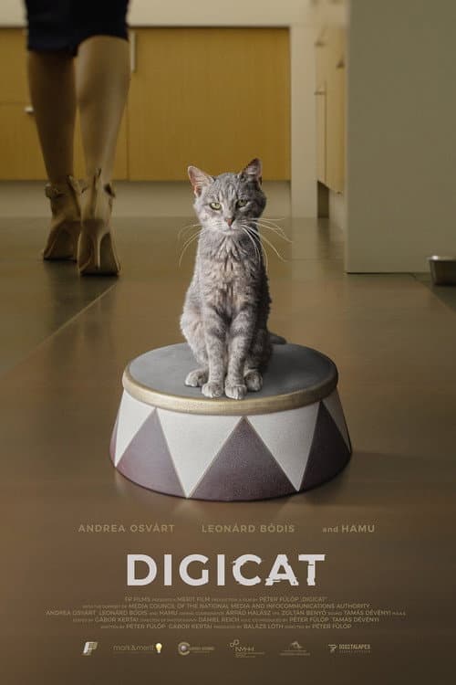 Digicica (2020) poster
