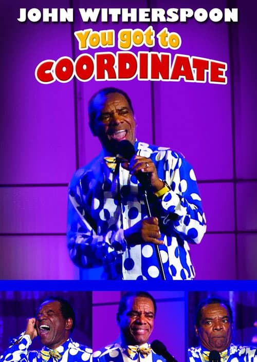 You Got to Coordinate (2008) poster