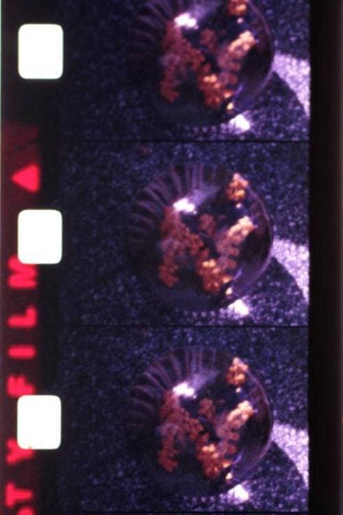 Éphémère (1979) poster