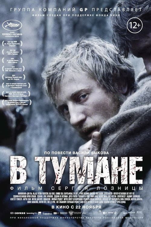 В тумане (2012) poster