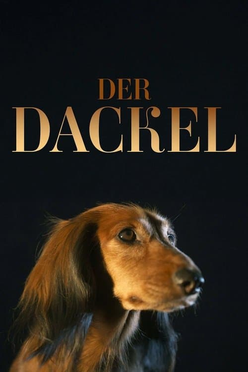 Der Dackel (2025) poster