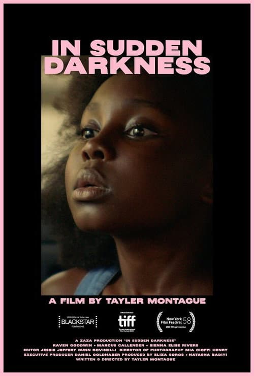 In Sudden Darkness (2020) poster