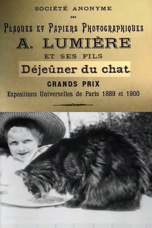 Déjeuner du Chat (1895) poster