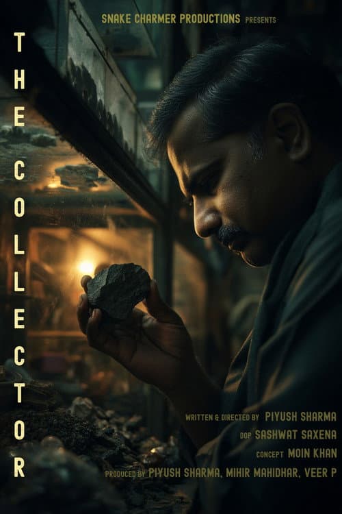 THE COLLECTOR (2026) poster
