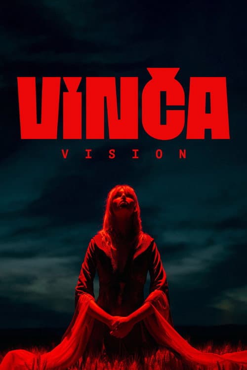 Vinča Vision (2024) poster