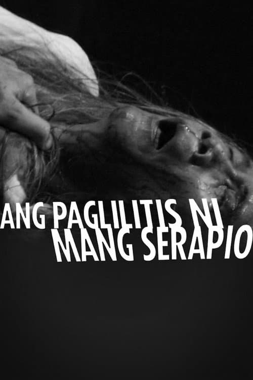Ang Paglilitis ni Mang Serapio (2010) poster