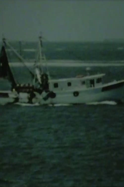 Shrimp Boat Log (2006) poster