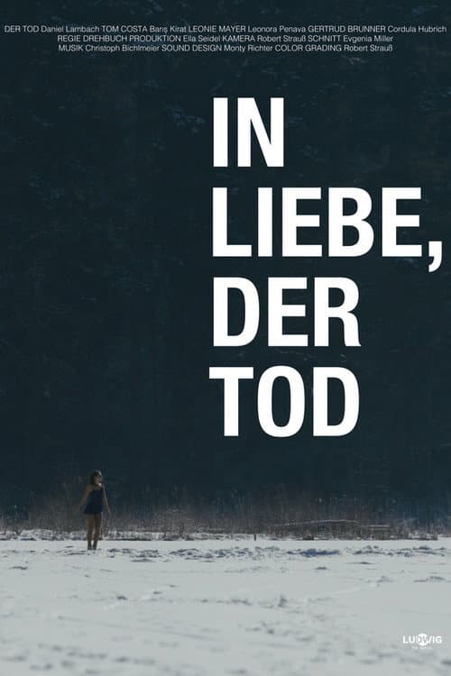 In Liebe, der Tod (2026) poster