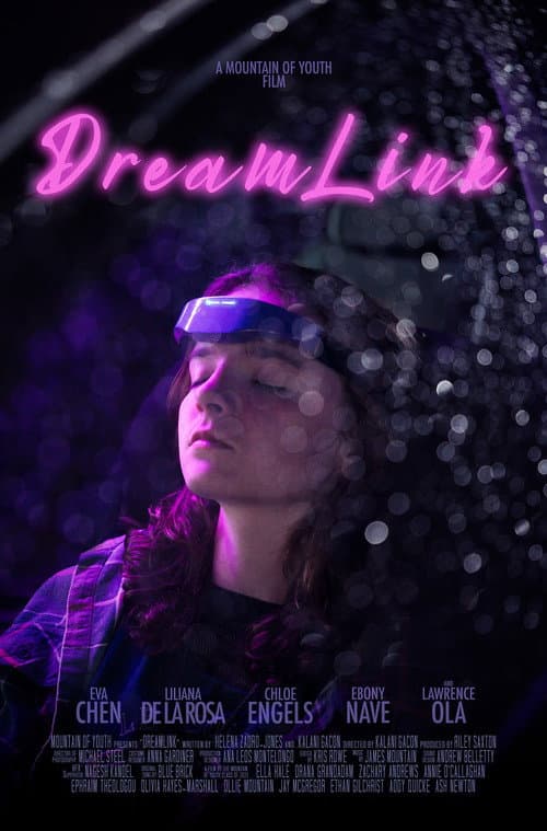 Dreamlink (2026) poster