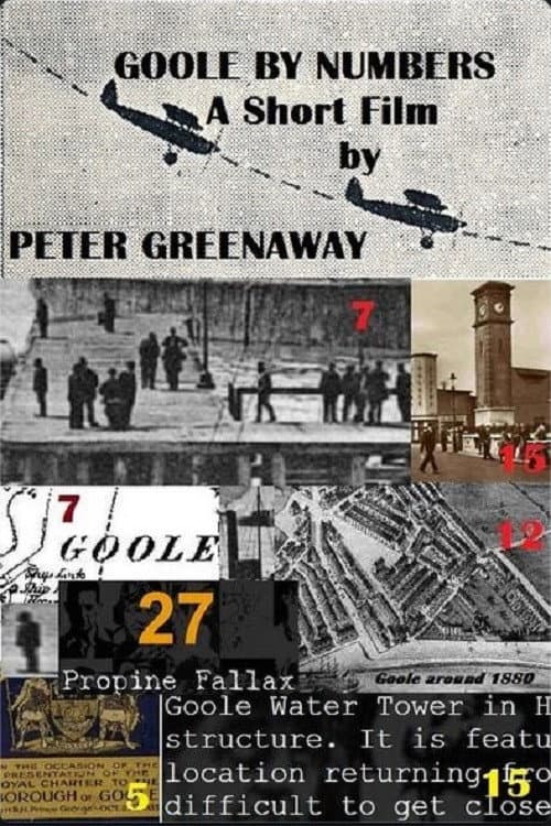 Goole by Numbers (1976) poster