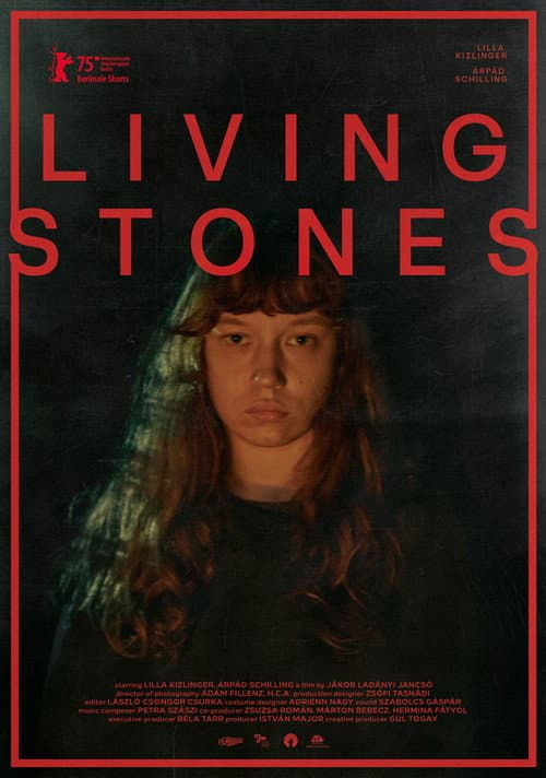 Élő Kövek (2025) poster