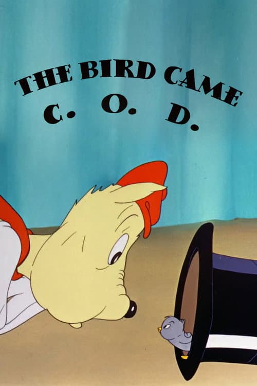 The Bird Came C.O.D. (1942) poster