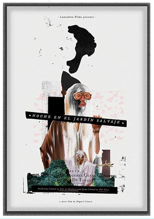 Night in the Wild Garden (2015) poster