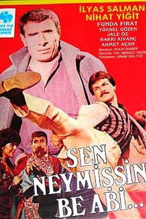 Sen Neymişsin Be Abi... (1986) poster