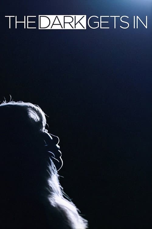 The Dark Gets In (2026) poster