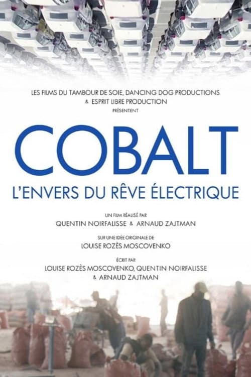 Cobalt, l'envers du rêve électrique (2022) poster