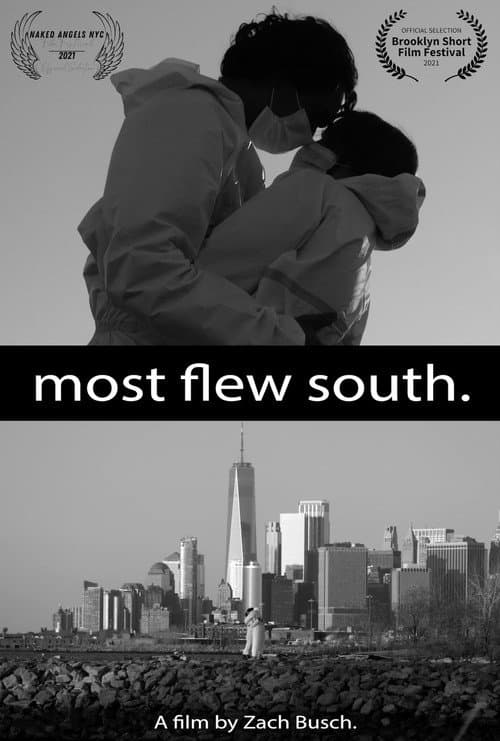 Most Flew South (2020) poster