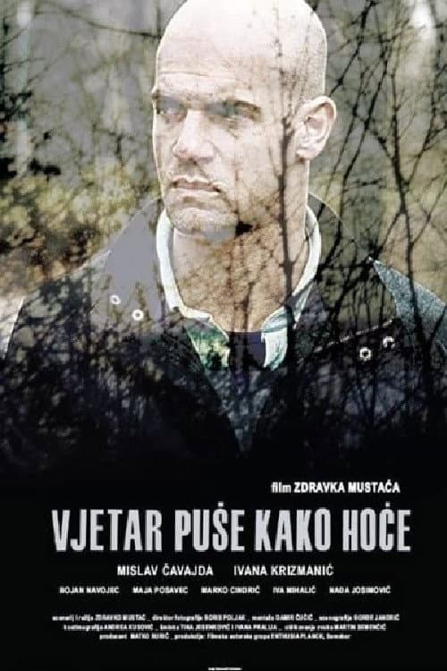 Vjetar puše kako hoće (2014) poster