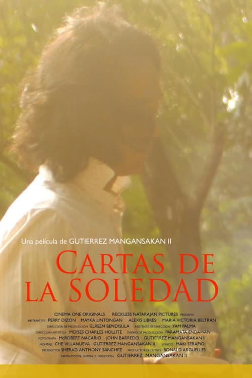 Cartas de la Soledad (2011) poster