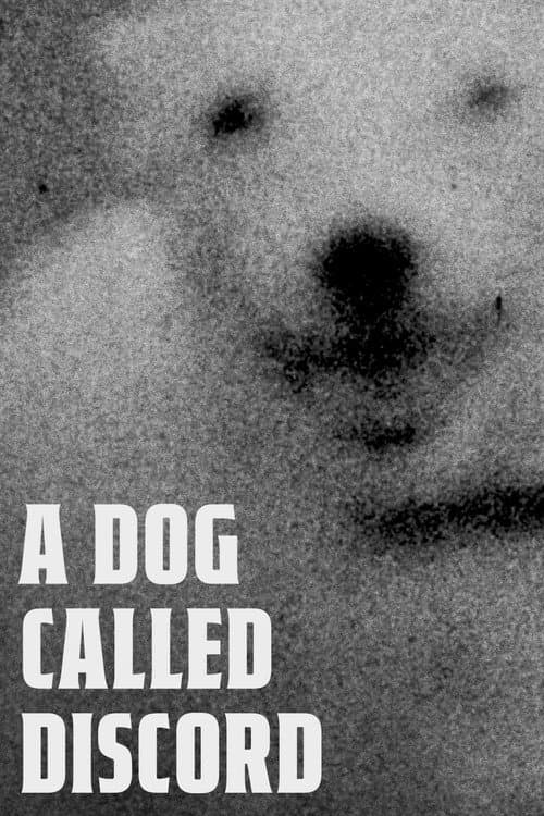 A Dog Called Discord (2023) poster