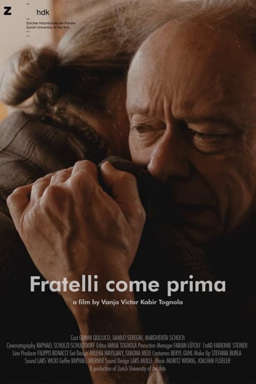 Fratelli come prima (2019) poster
