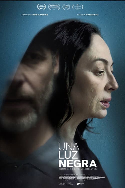 Una luz negra (2024) poster