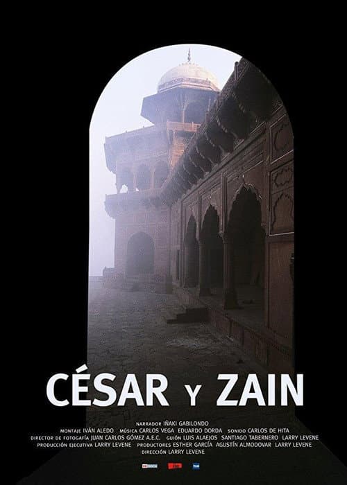 César y Zaín (2005) poster