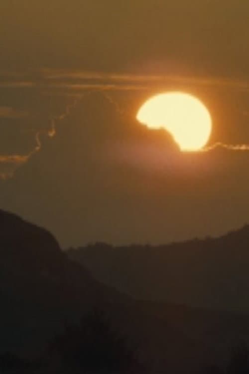 Le soleil tout entier ne se trouve nulle part (2021) poster
