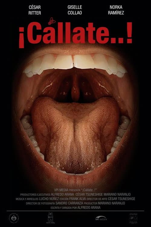 ¡Cállate…! (2010) poster