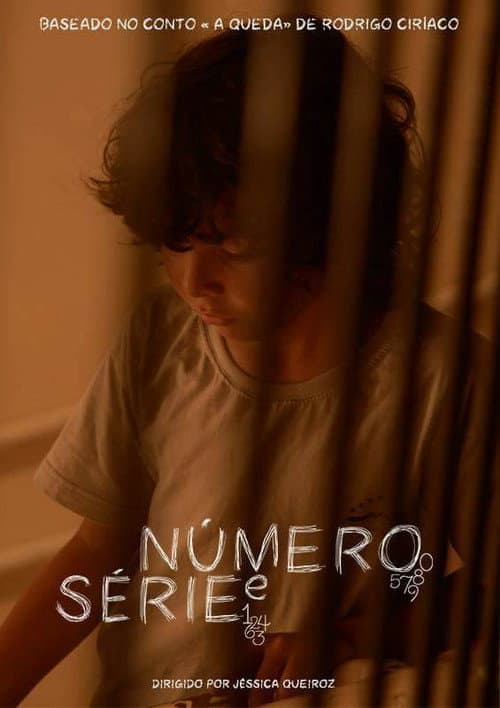 Número e Série (2015) poster