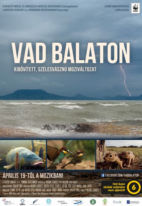 Vad Balaton (2018) poster