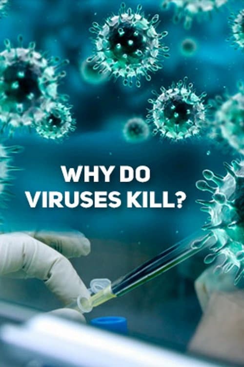 Why Do Viruses Kill? (2010) poster