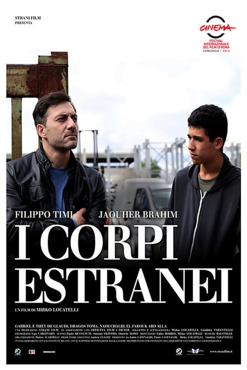 I corpi estranei (2013) poster