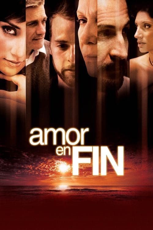 Amor en fin (2010) poster