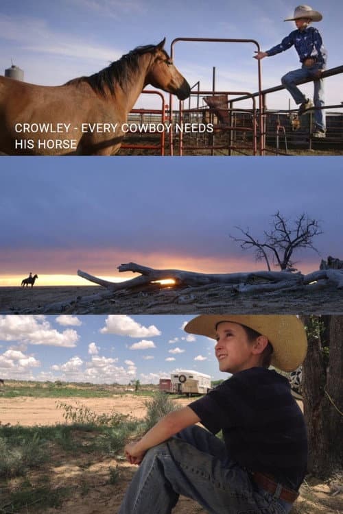 Crowley - Jeder Cowboy braucht sein Pferd (2016) poster