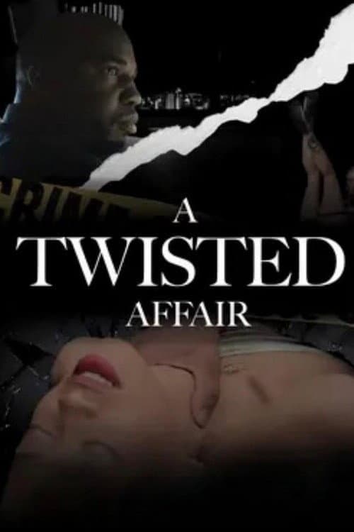A Twisted Affair (2024) poster