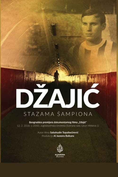 Džajić (2017) poster