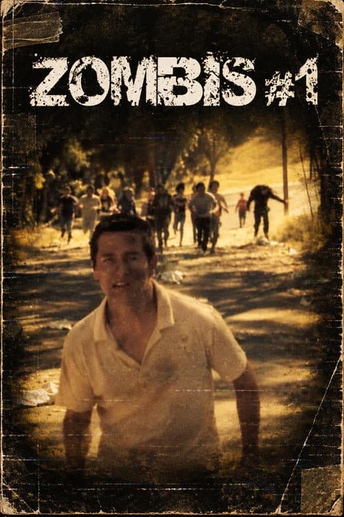 Zombis #1 (2011) poster