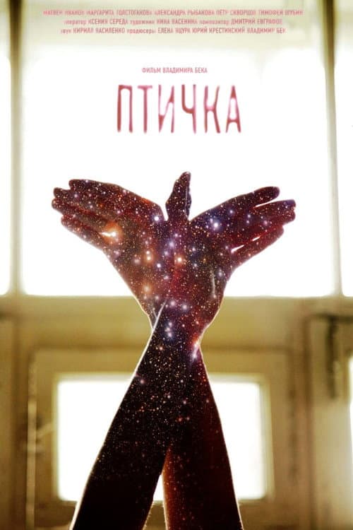 Птичка (2014) poster