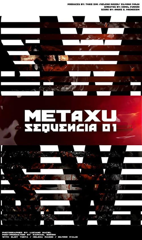 S.W. Metaxu-seq.01 (2013) poster