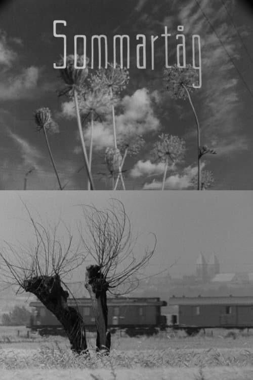 Sommartåg (1961) poster
