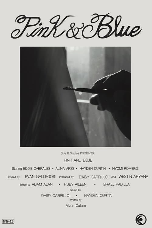 Pink & Blue (2026) poster