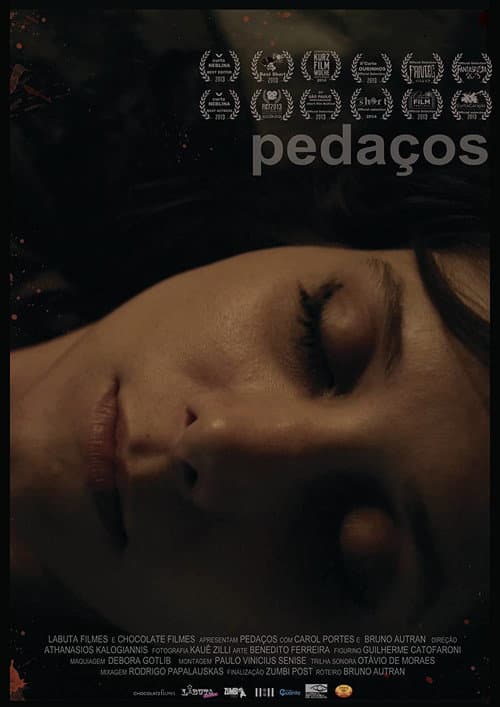 Pedaços (2014) poster