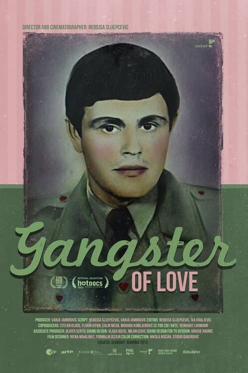 Gangster te voli (2013) poster