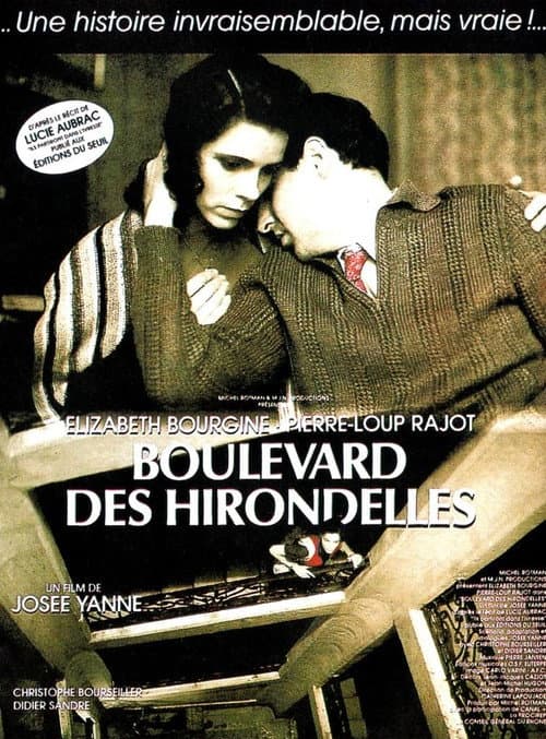 Boulevard des hirondelles (1993) poster