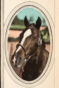 Tony the Horse in Six-Shooter Andy