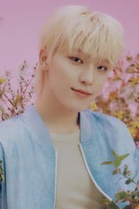 Dino in SEVENTEEN: OUR CHAPTER