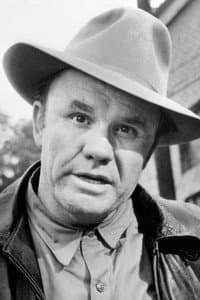 R.G. Armstrong in Justin Morgan Had a Horse
